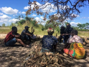 Mozambique In Need of Words Language Report Storymap