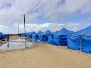 language maps Mozambique