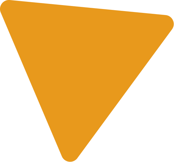 Polygon 1